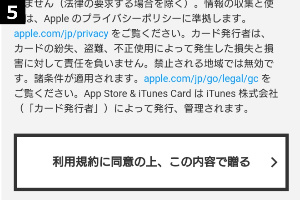 「利用規約に同意の上、この内容で送る」をタップ。